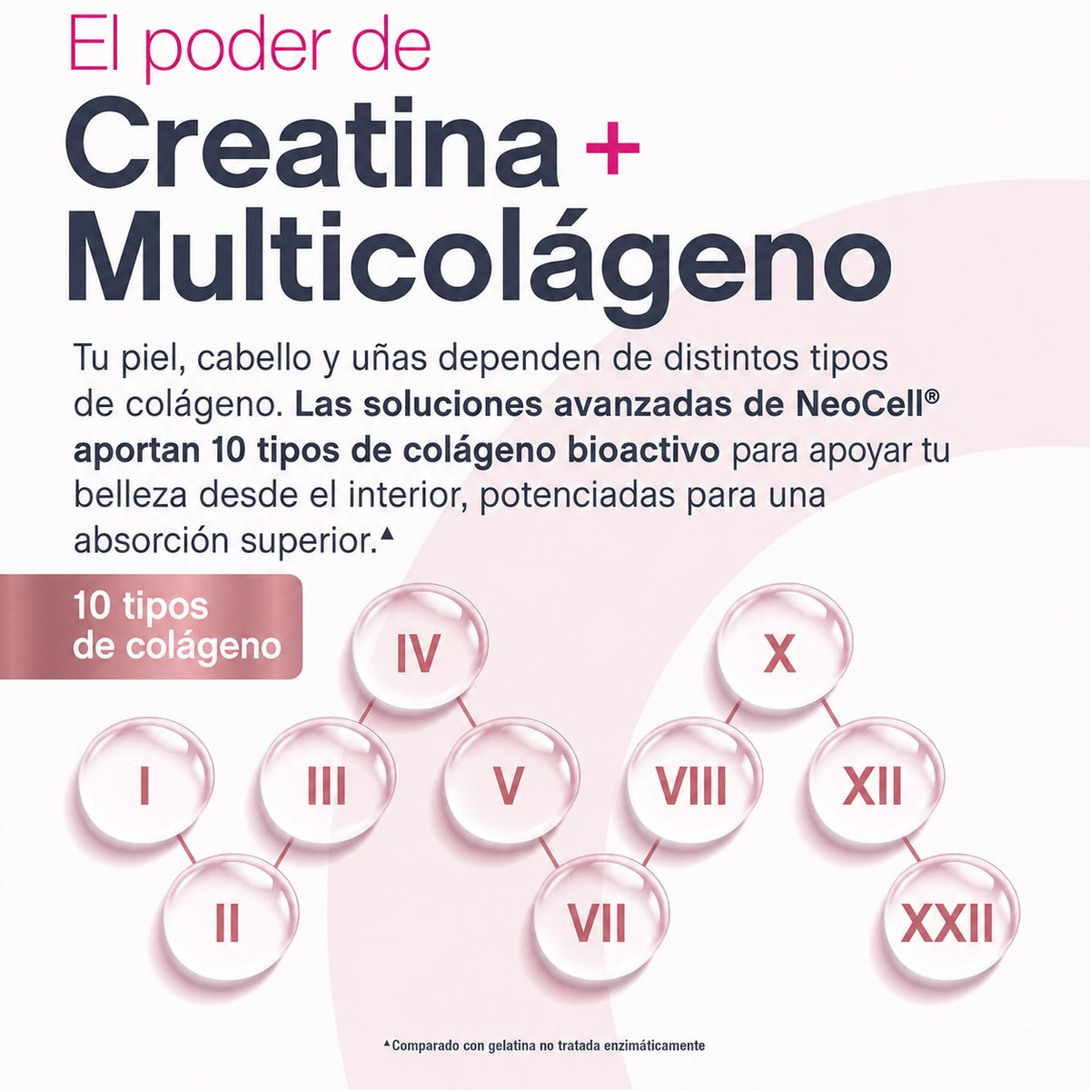 Creatina monohidratada + Multi Colágeno Bio-Péptido Protein + L-Taurine - Sin sabor 30 servicios