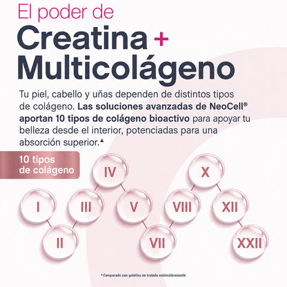 Creatina monohidratada + Multi Colágeno Bio-Péptido Protein + L-Taurine - Sin sabor 30 servicios