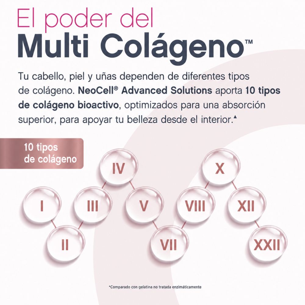 Sobres de Creatina monohidratada + Multi Colágeno Bio-Péptido Protein + L-Taurine - Sin sabor 20 sobres